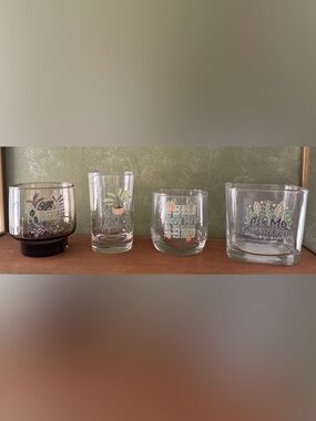 Plant Lover Plant Propagation Glassware